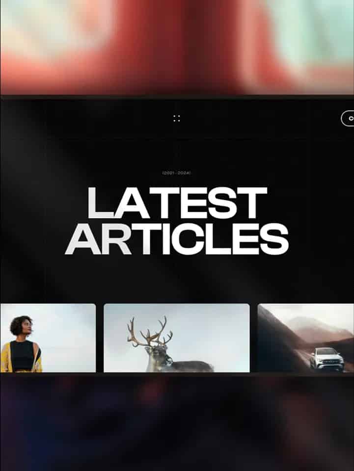 Gallery Image 2